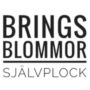 Brings Blommor